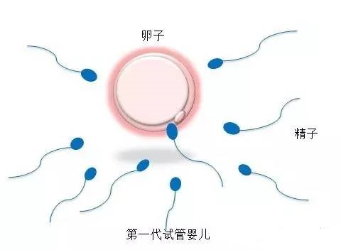 冷冻室
